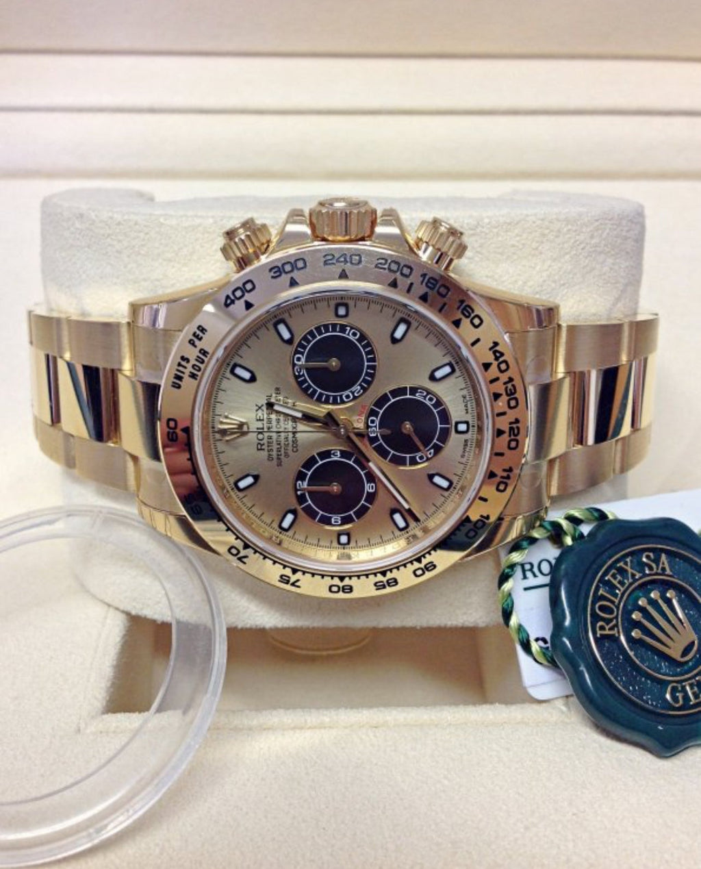 DAYTONA “PIKACHU”