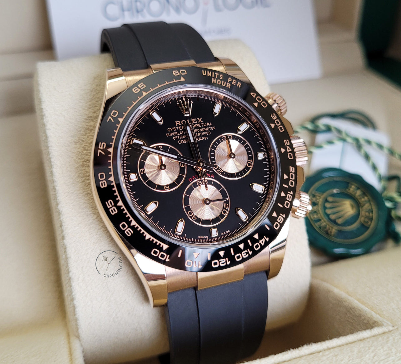 DAYTONA OYSTERFLEX EVEROSE