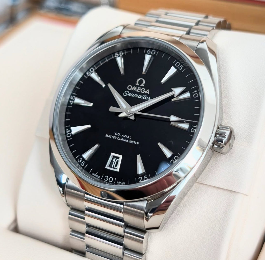 SEA-MASTER AQUA TERRA BLACK